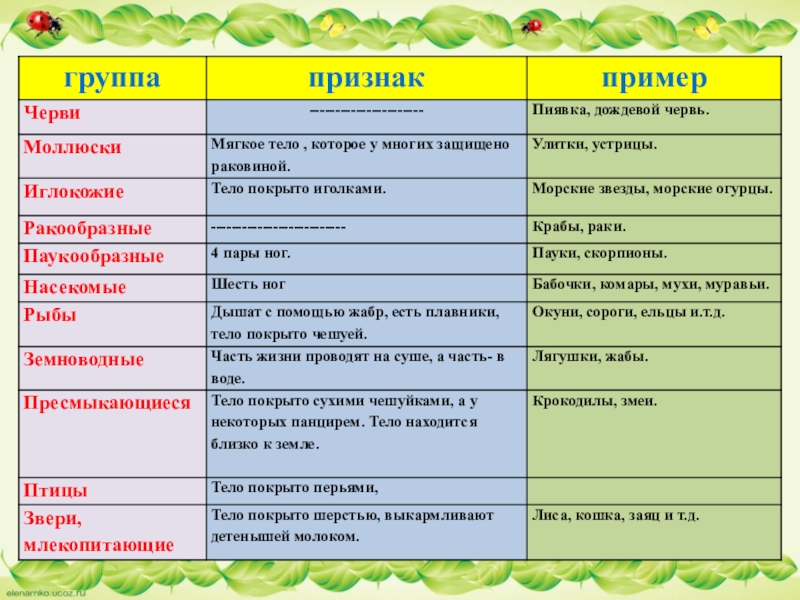 Технологическая карта разнообразие животных 3 класс