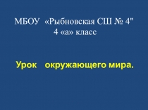 Презентация к уроку окружающий мир на тему Гроза. Правила поведения во время грозы