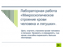 Презентация по биологии Лабораторная работа Микроскопическое строение крови человека и лягушки. (8 класс)