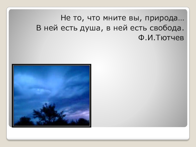 Не то что мнимая природа. В ней есть душа в ней есть Свобода Тютчев. В ней есть душа в ней есть. Не то что мните вы природа картинки. Никто что мните вы природа.