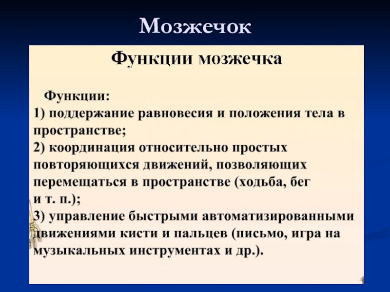 Функции мозжечка презентация