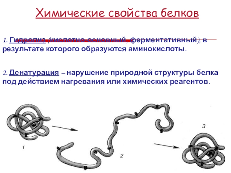 Белки химические свойства