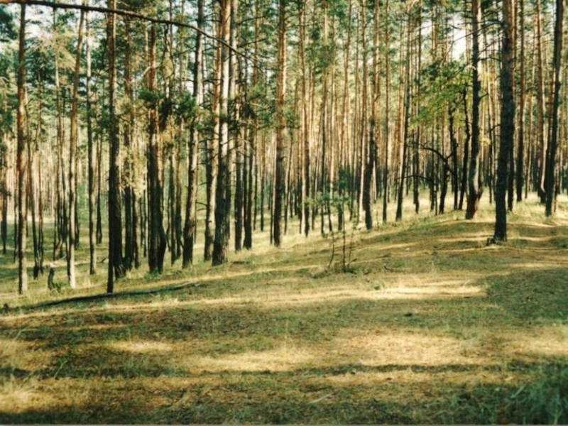 Проект воронежский заповедник