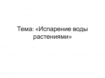 Презентация к уроку Испарение воды листьями