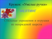 Презентация Валяние из шерсти