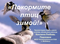 Акция Покорми птиц зимой!