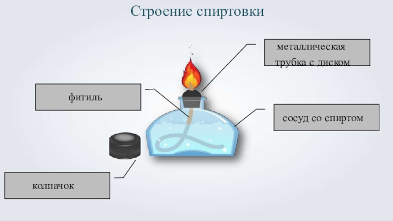 Пламя спиртовки. Спиртовка лабораторная строение пламени. Строение пламени спиртовки химия 8. Спиртовка лабораторная обозначения. Спиртовка лабораторная схема.