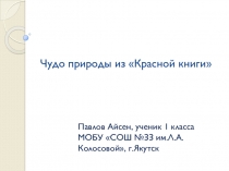 Презентация по биологии Венерин башмачок