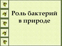 Презентация по биологии Роль бактерий в природе
