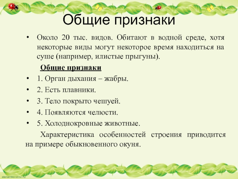 Около 20 тыс. видов. Обитают в водной среде, хотя некоторые виды могут некоторое время находиться на суше