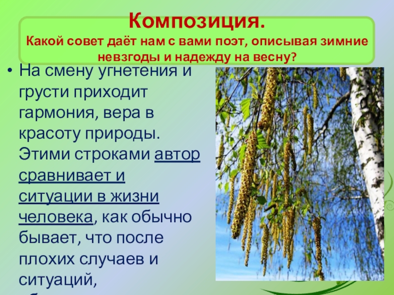 Описать зимнюю березу. Анализ стихотворения учись у дуба у березы 6 класс. Как поэты охарактеризуют зиму. Кроссворд по стихотворению Фета учись и них у дуба у Березки.