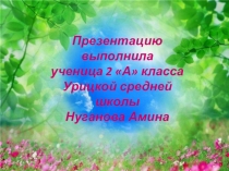 Презентация Мы - глазами природы представленная в рамках областного экологического конкурса В гармонии с природой