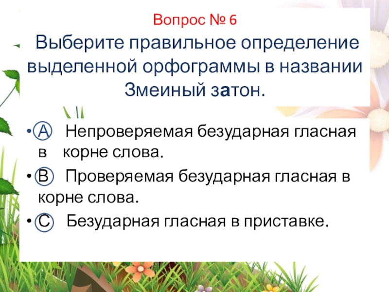 Укажите правильное определения. Выберите правильное определение. Лекарственные растения леса список с непроверяемыми орфограммами.