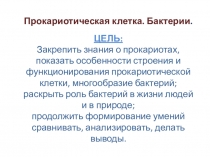 Презентация по биологии на тему Бактерии