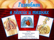 Презентация по биологии Газообмен в легких (8 класс)