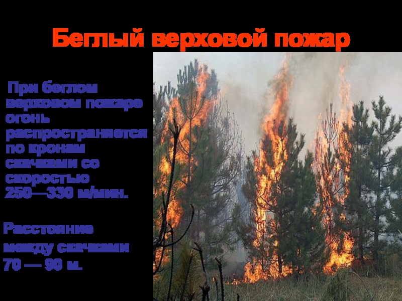 Беглый верховой пожар. Лесные и торфяные пожары. Лесные пожары презентация. Верховой пожар скорость распространения.