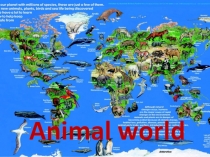 Презентация по английскому языку на тему Animal world (5 класс)