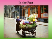 Презентация по английскому языку. Spotlight 6. Module 7.Disney. Past Simple.