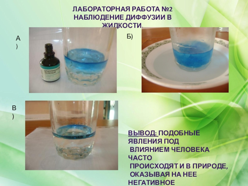 Лабораторная работа вода. Наблюдение диффузии. Опыты с диффузией. Опыт по диффузии. Опыты с зеленкой.