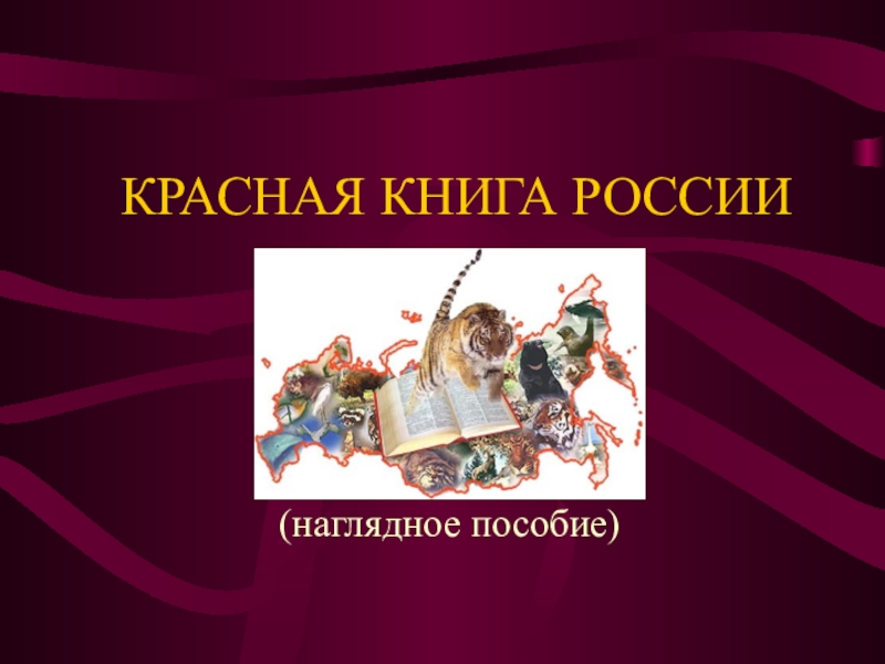 Презентация Презентация по окружающему миру на тему Красная книга России