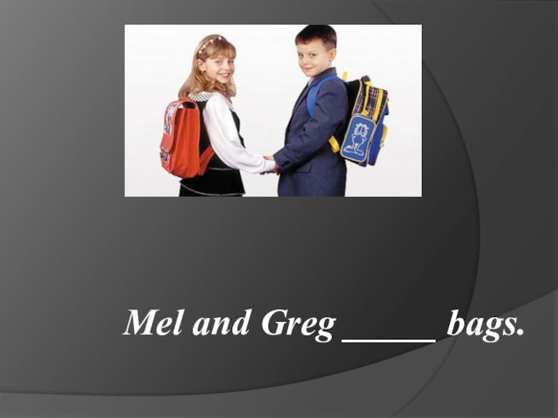 Mel and Greg _____ bags.