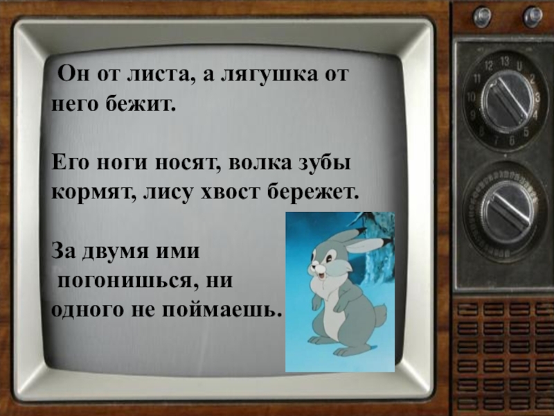 Пословица про зайца. Волка зубы кормят лису хвост бережет. Зайца ноги носят волка зубы кормят лису хвост бережет. Зайца ноги носят волка зубы кормят лису хвост бережет смысл. Смысл пословицы зайца ноги носят волка зубы кормят лису хвост бережет.