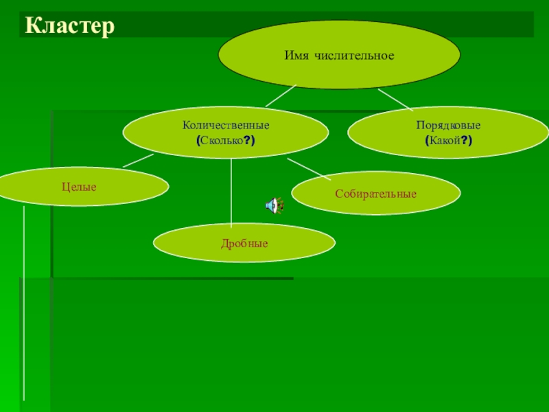 Кластер 6. Кластер числительное. Кластер имена числительные. Кластер на тему имя числительное. Количественные числительные кластер.