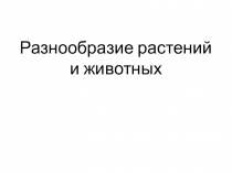Презентация по окружающему миру разнообразие растений и животных