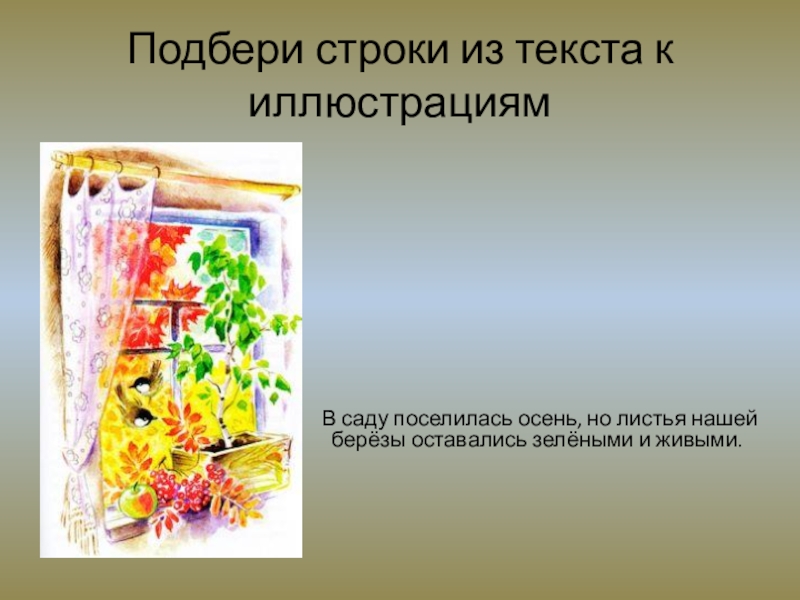 Паустовский береза. Паустовский подарок иллюстрации. Паустовский подарок. Иллюстрация к рассказу подарок Паустовский. К. Паустовский "в саду поселилась осень…".