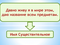 Презентация у уроку русского языка 3 класс имя существительное