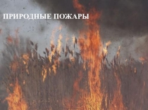 Природные пожары