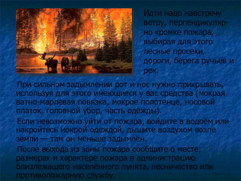 Действия оказавшись в зоне лесного пожара. Предотвращение лесных и торфяных пожаров. Меры предупреждения лесных и торфяных пожаров. Профилактика лесных пожаров и торфяных пожаров. Защита населения от торфяных пожаров.