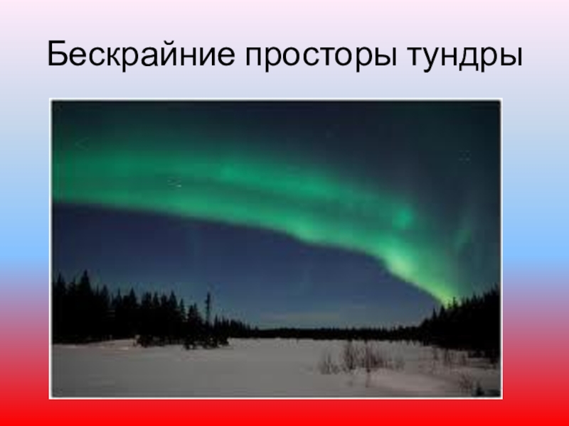 зона тундры красноярского края. просторы тундры. тундра чукотского полуострова. арктическая мохово-лишайниковая тундра. просторы тундры.