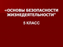 .Экстремизм и терроризм : основные понятия и причины их возникновения