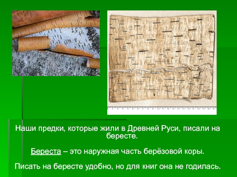 Как именно писали на бересте на руси. Чем писали на бересте. На чём писали наши предки. Раньше писали на бересте. На Руси писали на бересте.