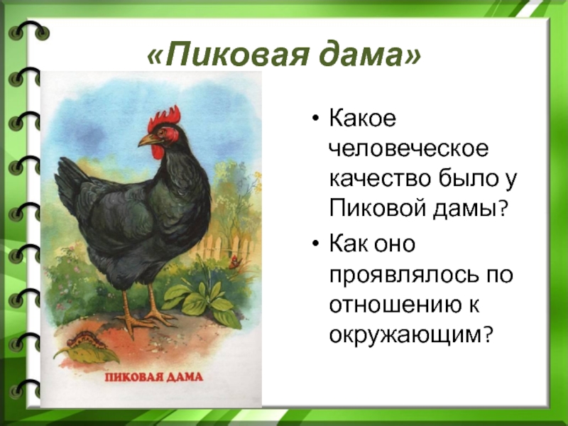 Рассказ о курице. Курица Пиковая дама пришвин. М.М.пришвин Пиковая дама. Рассказ Пиковая дама пришвин.