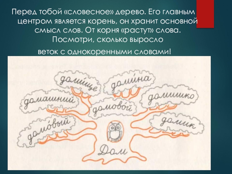 Как нарисовать дерево с однокоренными словами - 85 фото