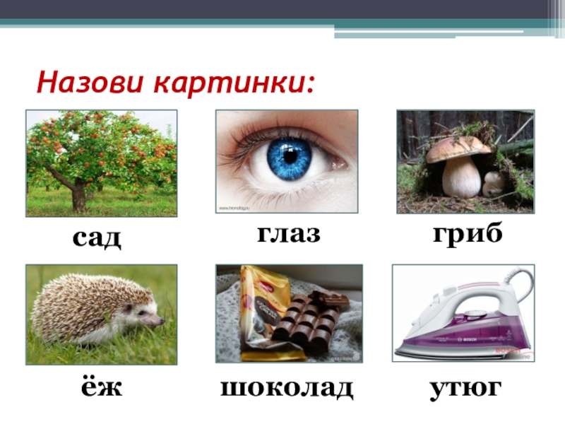 Как называются такие рисунки. Как назвать картинка. Умачка гриб глаза. Как называют картинку покажите.