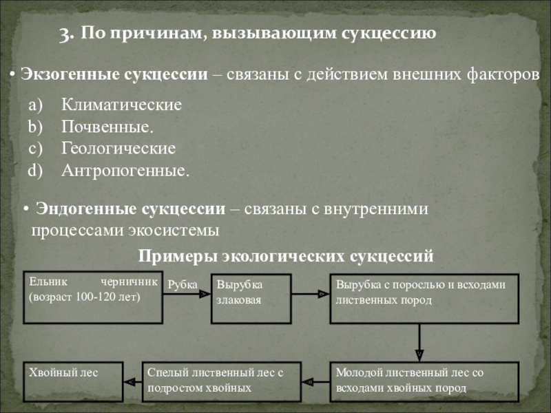 Биология 9 класс саморазвитие экосистемы презентация