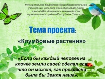 Презентация проекта Однолетние клумбовые растения(4 класс)