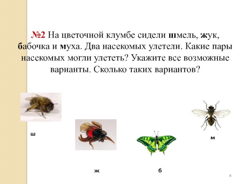 Мухи осы и шмели укрываются в сухие убежища схема предложения