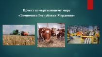 Презентация проекта Экономика Республики Мордовия