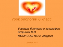 Презентация к уроку по биологии Строение и работа сердца