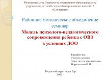 Семинар Модель психолого-педагогического сопровождения ребенка с ОВЗ в условиях ДОО
