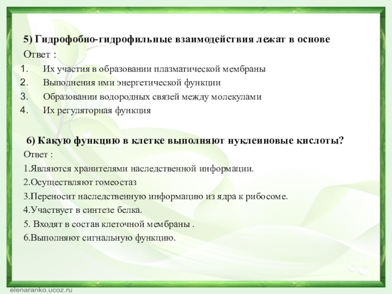 5) Гидрофобно-гидрофильные взаимодействия лежат в основеОтвет :Их участия в образовании плазматической мембраны Выполнения ими энергетической функцииОбразовании водородных