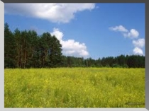 Презентация по русскому языку на тему Морфемный разбор