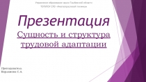 Презентация Сущность и структура трудовой адаптации