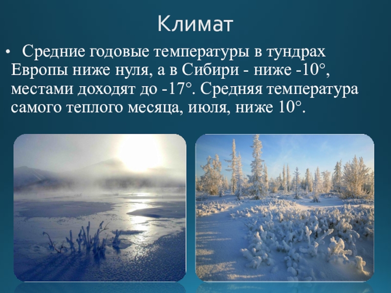 Зимняя температура в тайге. Тундра и лесотундра климат. Климат тундры и лесотундры в России. Лесотундра климатический пояс. Климат лесотундры 8 класс.