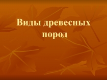 Презентация по технологии на тему Виды древесных пород