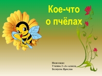 Презентация - проект Насекомое - пчела 2 класс